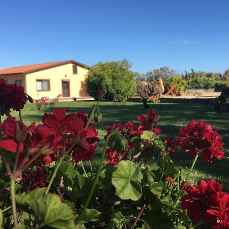 Agriturismo Sechi Campanedda Dış mekan fotoğraf