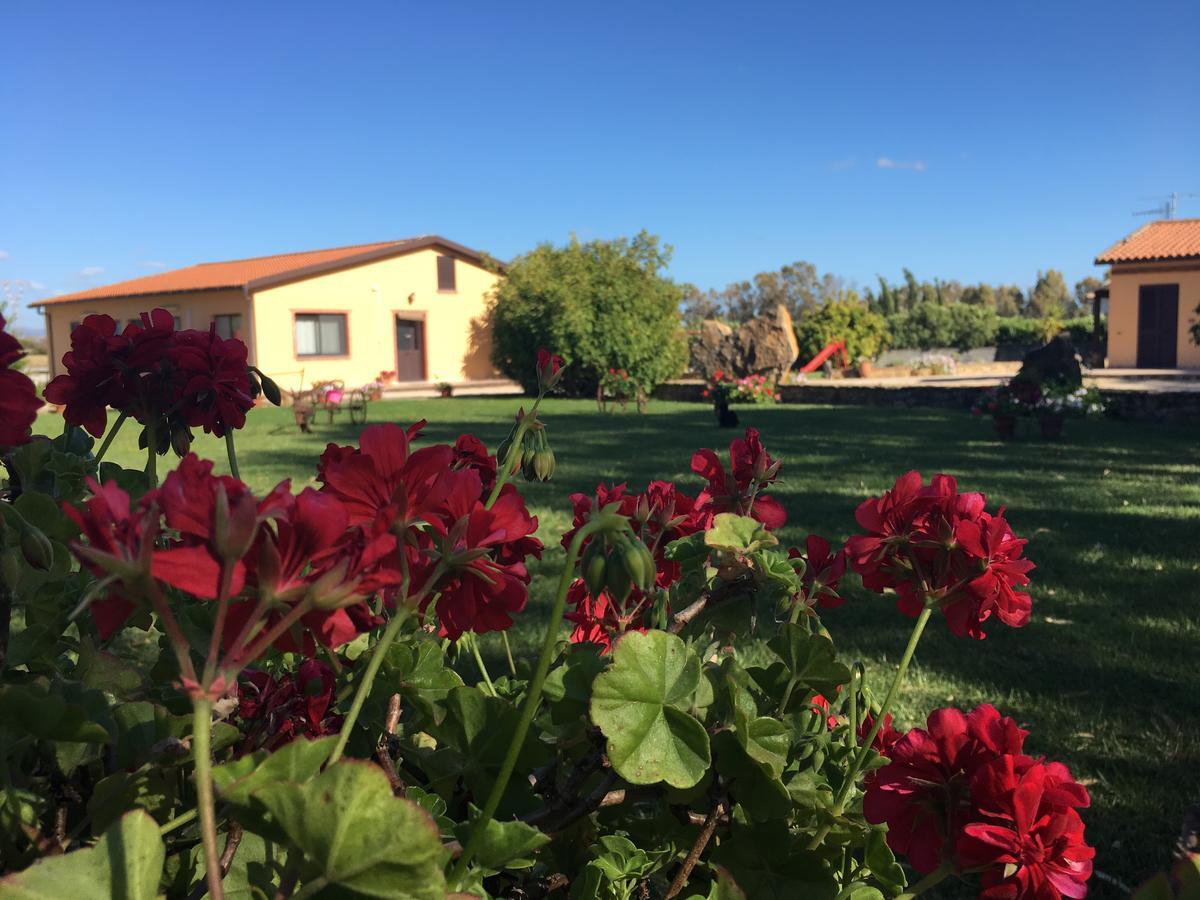 Agriturismo Sechi Campanedda Dış mekan fotoğraf